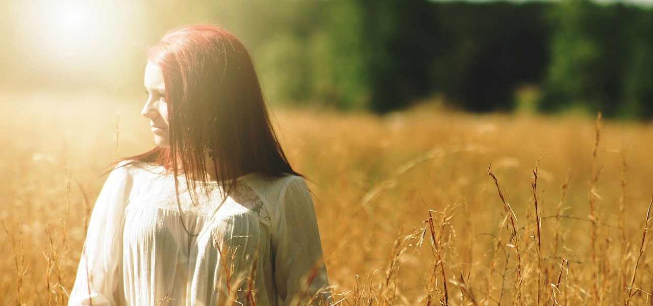 网站攻击软件工具